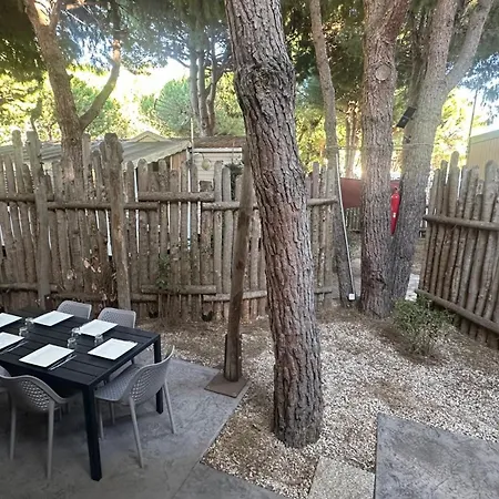 Apartment Mobil-home Neuf Confort - 4 Etoiles Les Sables D Or - Le Cap D Agde *